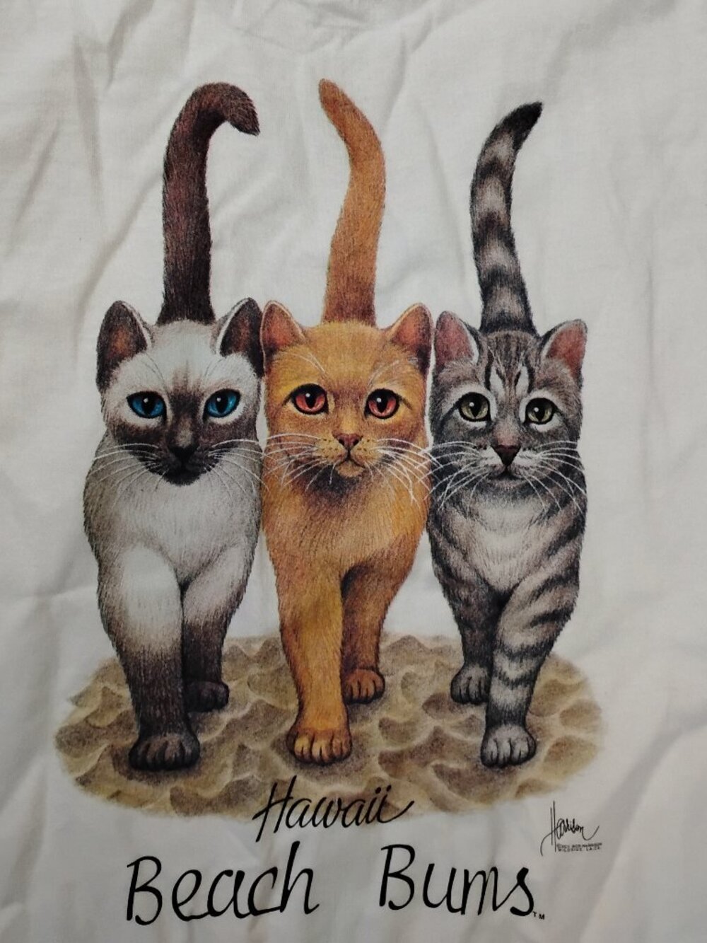 Vintage Beach Bums Hawaii Cat Kitten Illustration Bob Harrison T-Shirt